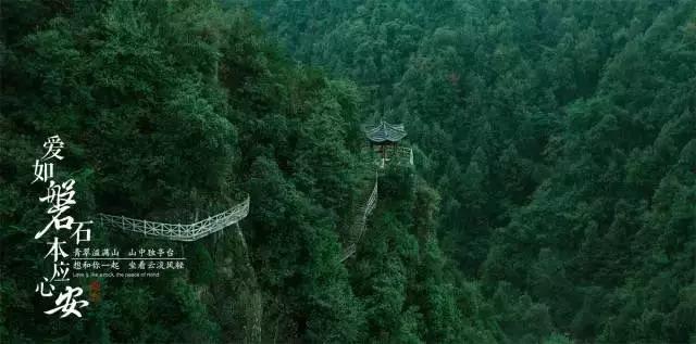 哈尼和她的宠物们